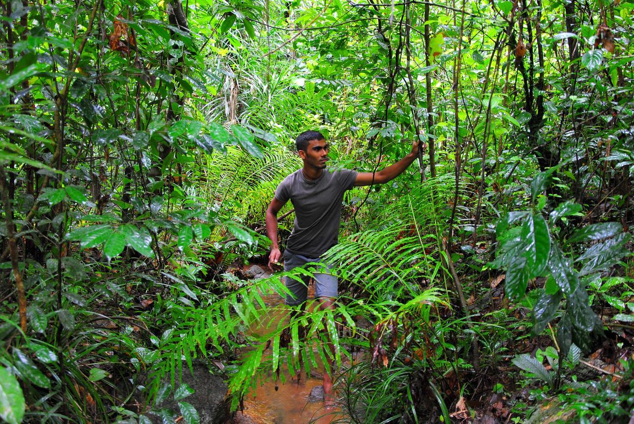 Jungle River Ginigathena Экстерьер фото