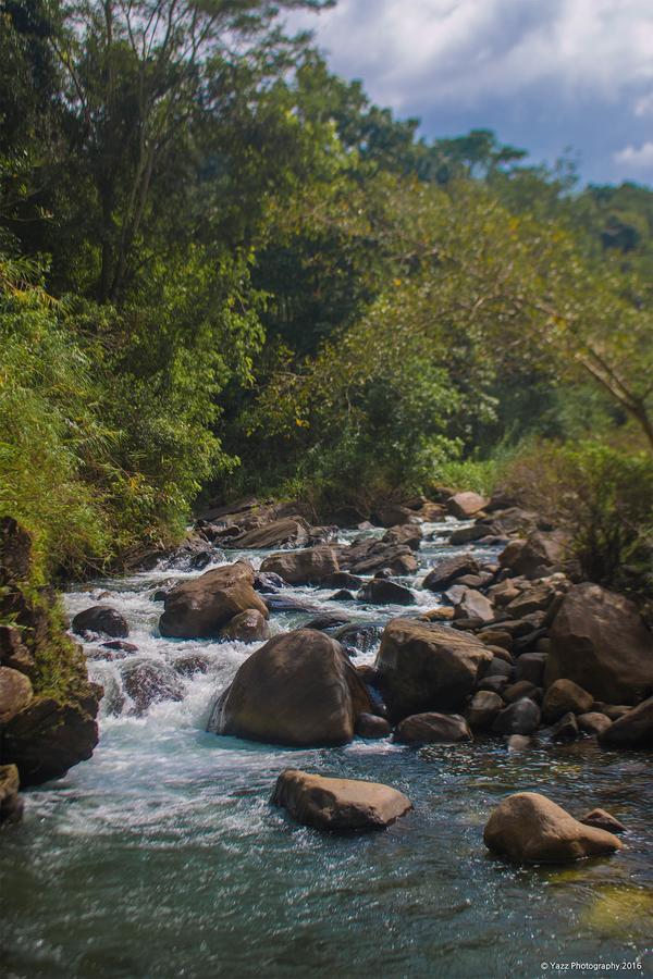 Jungle River Ginigathena Экстерьер фото