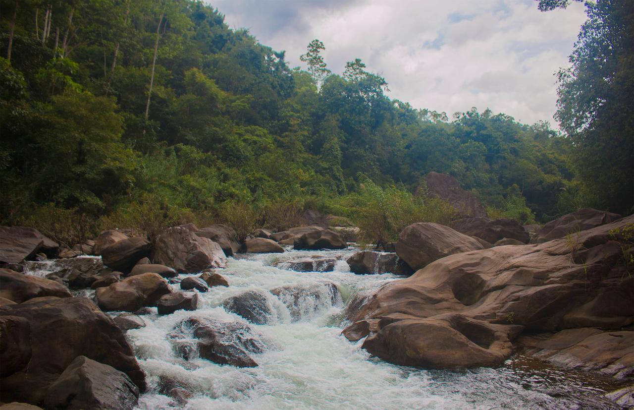 Jungle River Ginigathena Экстерьер фото