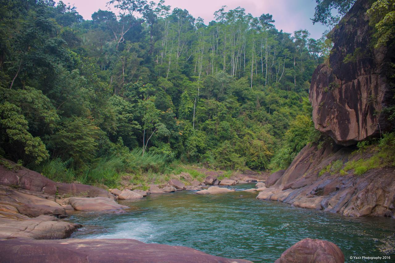 Jungle River Ginigathena Экстерьер фото