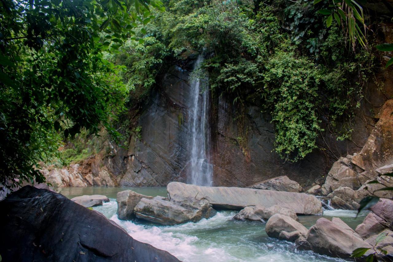 Jungle River Ginigathena Экстерьер фото