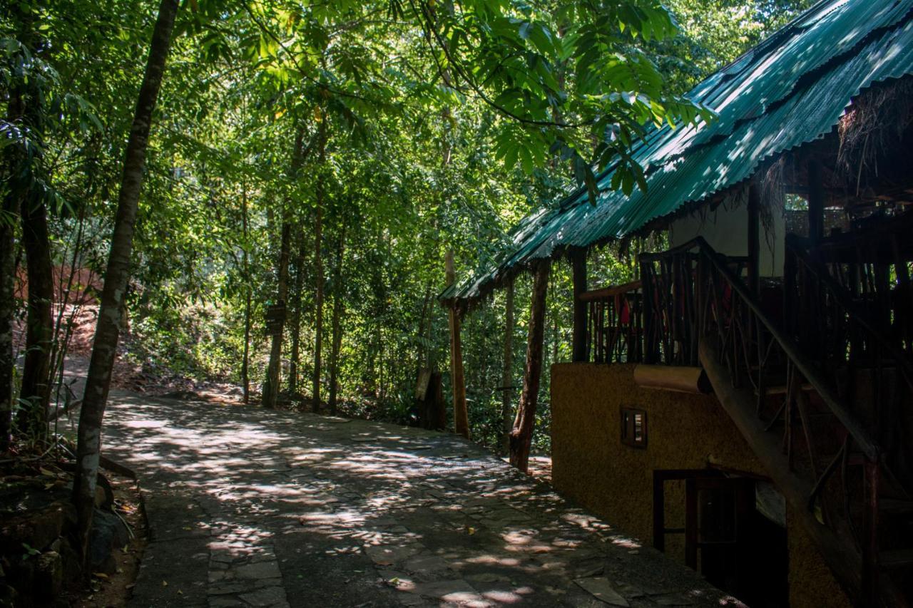Jungle River Ginigathena Экстерьер фото